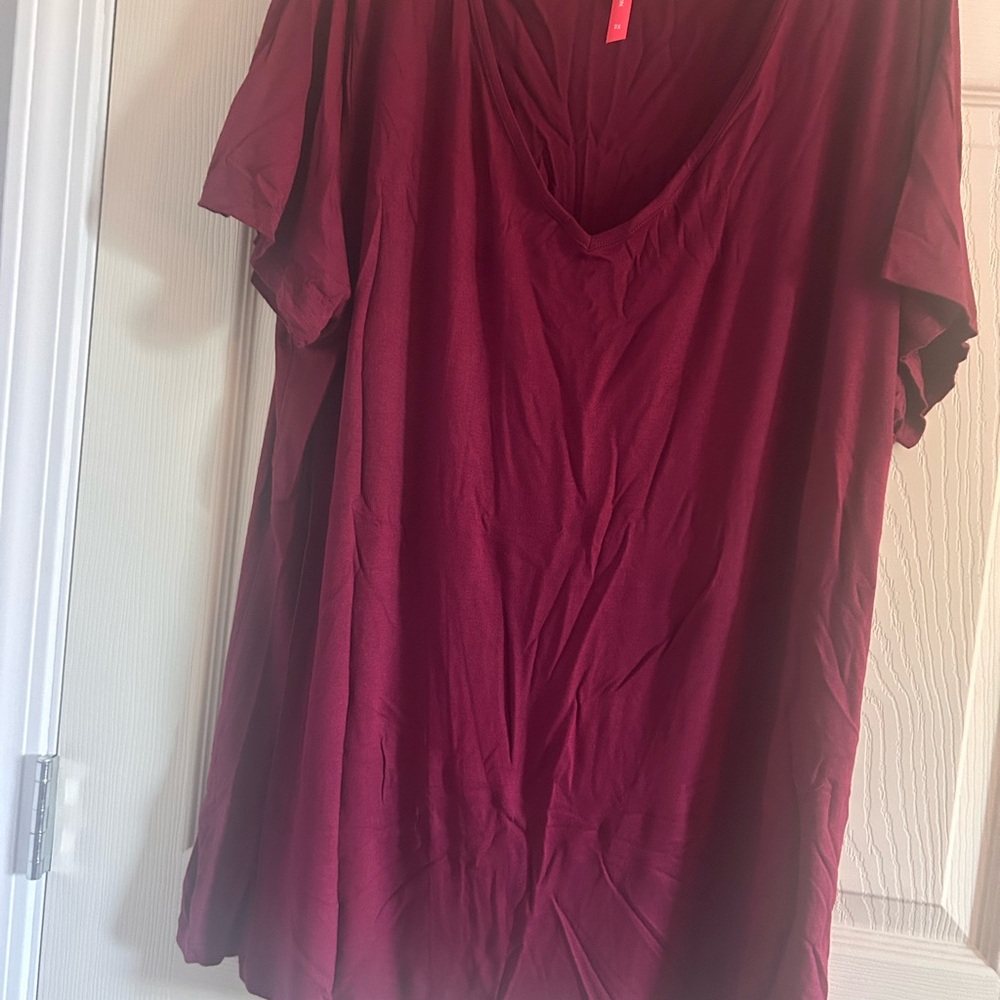 Ruby Ribbon V-Neck Tee- tried on, never worn